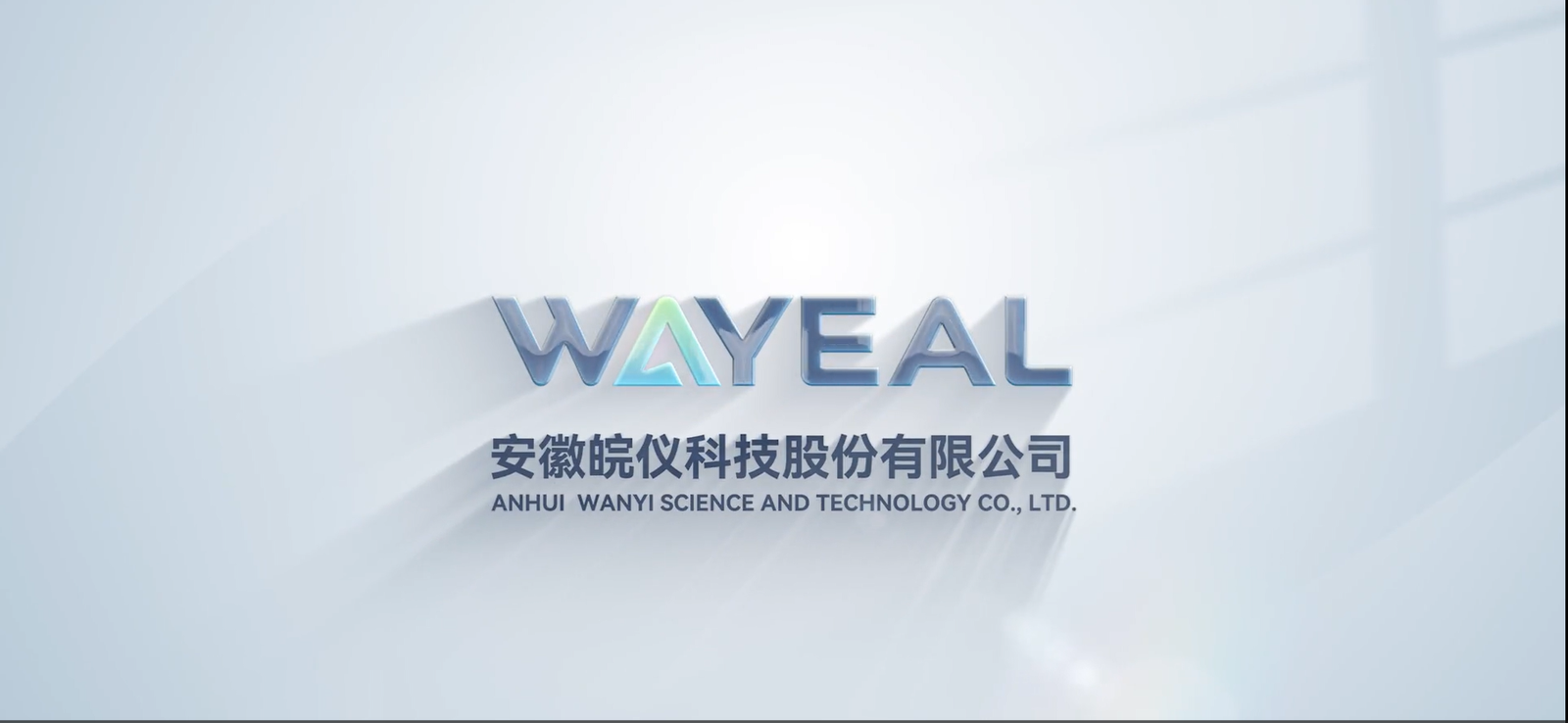 Wayeal Company Introduction